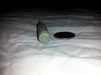 20130103_214227.webp 20130103_214227.webp