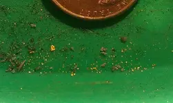 Herky flats gold.webp