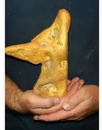 gold nugget.webp