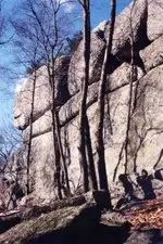 206.webp