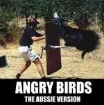 birds.webp