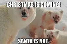 santa1.webp