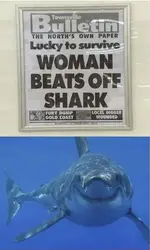 shark.webp