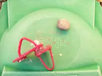 Odd Rock II 001.webp