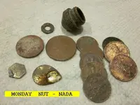 1217NUT.webp