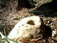 DSCF0059.webp