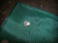 20130130_145322.webp 20130130_145322.webp