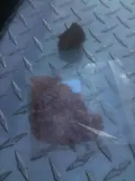 image-761058563.webp