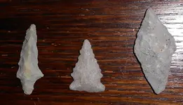 DSCN0899.webp