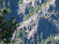 163_6346.webp