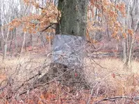 004.webp