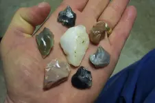 100_2545.webp