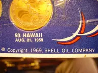 Shell_69.webp Shell_69.webp