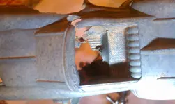 IMAG2186.webp