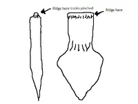 Untitled.webp