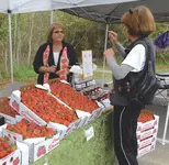 4f6b3a3b3359d_image.webp