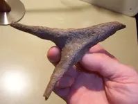 forked bone 001.webp