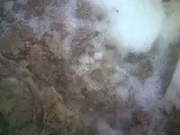 DSCF0091.webp
