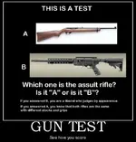 Gun test.webp