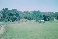 Atascadero 8A.webp