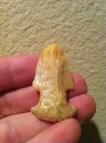 Palm wood point.webp