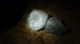 IMAG0548.webp IMAG0548.webp