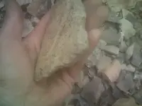 DSCF0175.webp