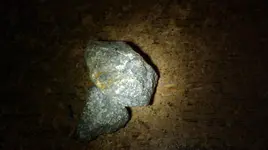 IMAG0549.webp