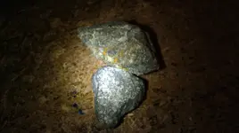 IMAG0550.webp IMAG0550.webp
