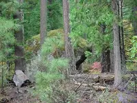 Rock shelter4.webp