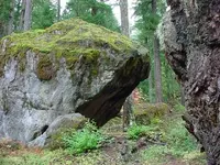 Rock shelter5.webp