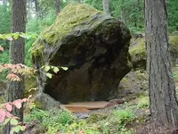 Rock shelter6.webp