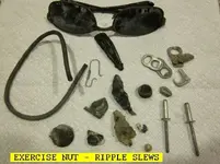 0130NUT.webp