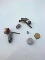 Small Beach Finds.webp