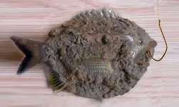 fish.webp