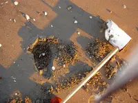PICT1064.webp