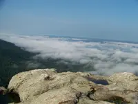 100_3031.webp