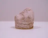 2013finds 2-5-13 005.webp