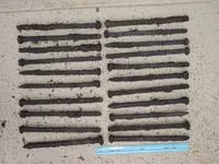 DSCF2496.webp