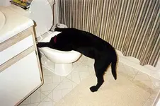securedownload.jpg 13.webp securedownload.jpg 13.webp