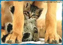 securedownload.jpg aw.webp securedownload.jpg aw.webp