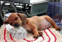 securedownload.jpg awwwww.webp