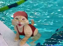 securedownload.jpg lol.webp