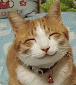 securedownload.jpg smile.webp securedownload.jpg smile.webp
