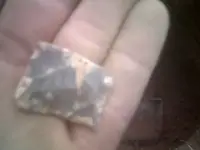 DSCF0016.webp