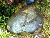 Image0662-rjrgrapher.webp