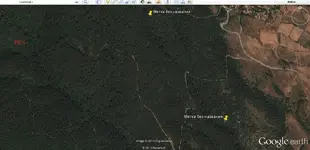 riverbad1.webp