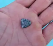 DSCF0578.webp