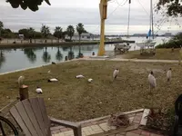 image-3116787178.webp