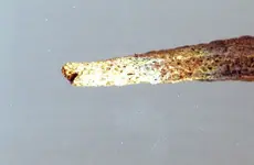 Bone frag 3.webp